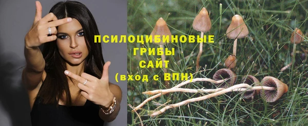 ECSTASY Верея